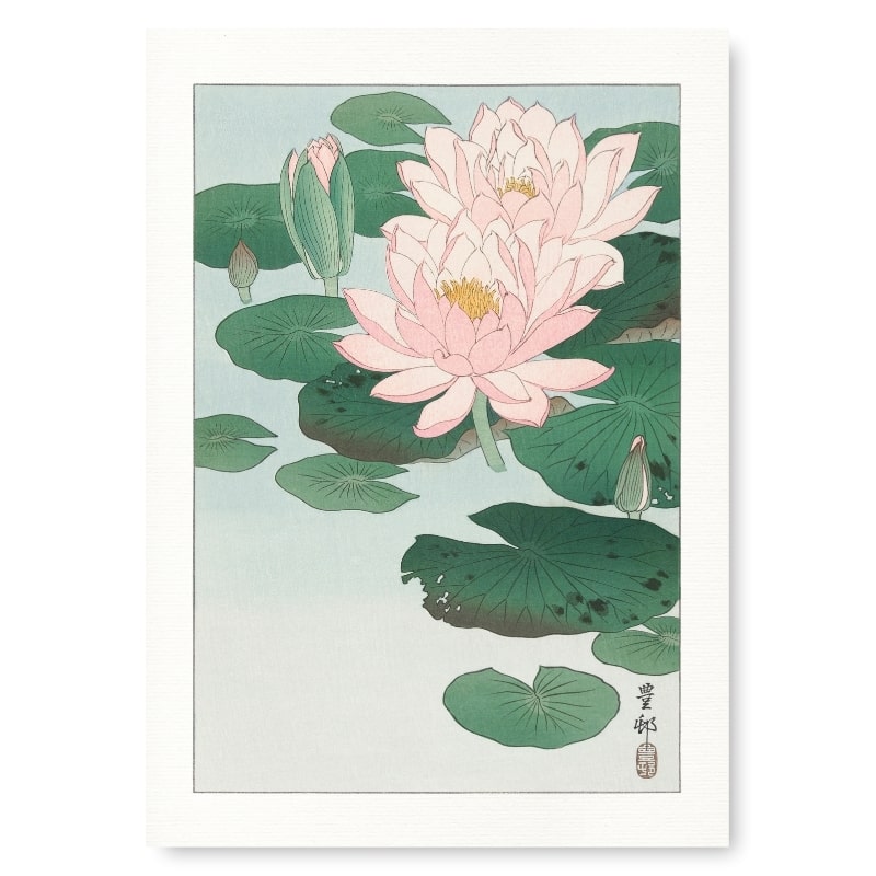 Waterlelie Poster