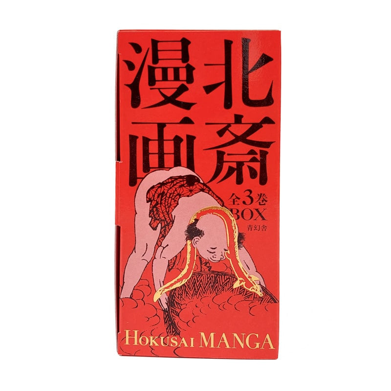 Hokusai Manga Kunst Boek Doos Set