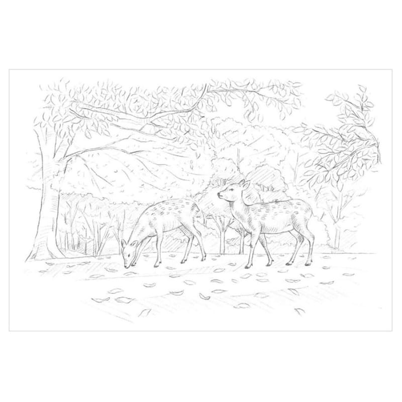 Kleurplaten voor volwassenen: De vier seizoenen van Nara