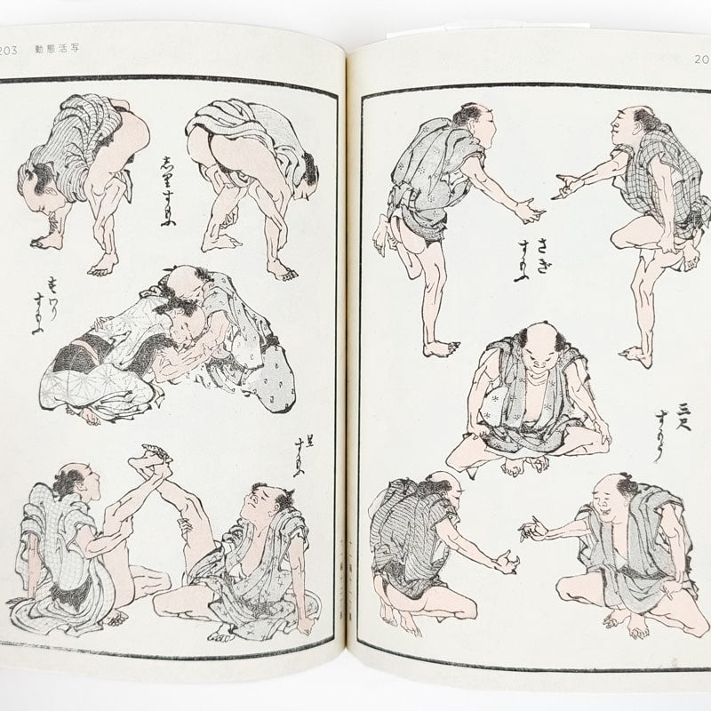 Hokusai Manga - Kunst Boek