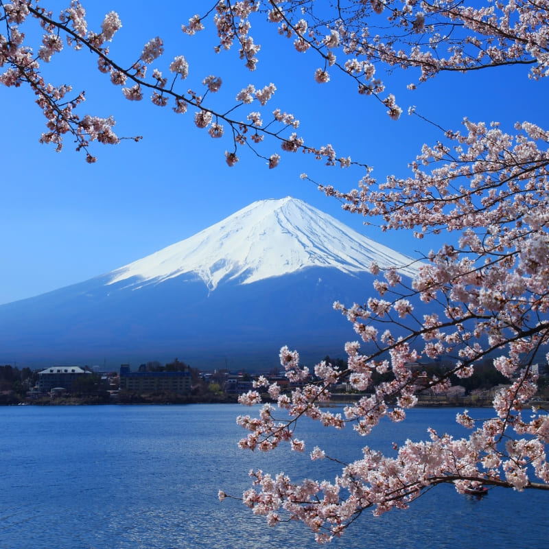 Japans Karton Bouwpakket – Mount Fuji