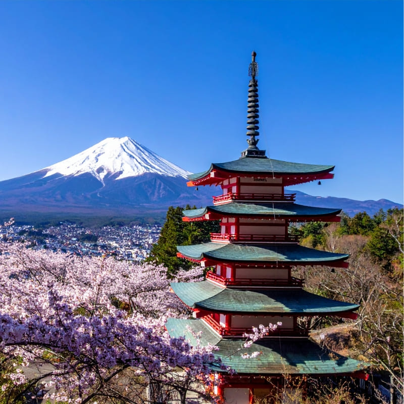 Japans Karton Bouwpakket – Rode Pagode