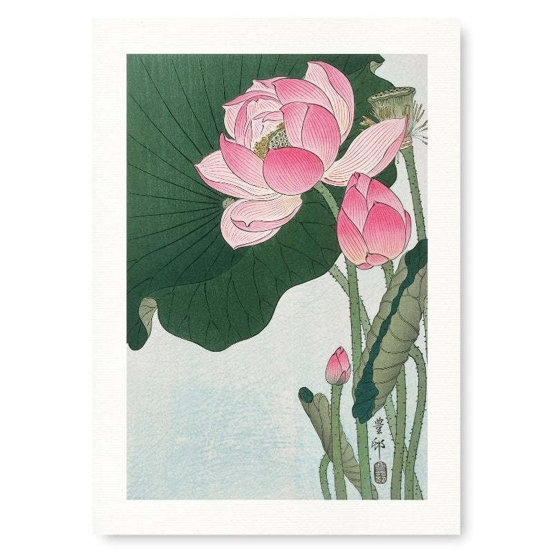 Japanse Prent - Lotus Bloem A3