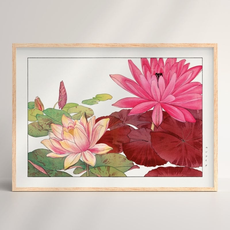 Japanse Prent - Nymphaea Lotus A3