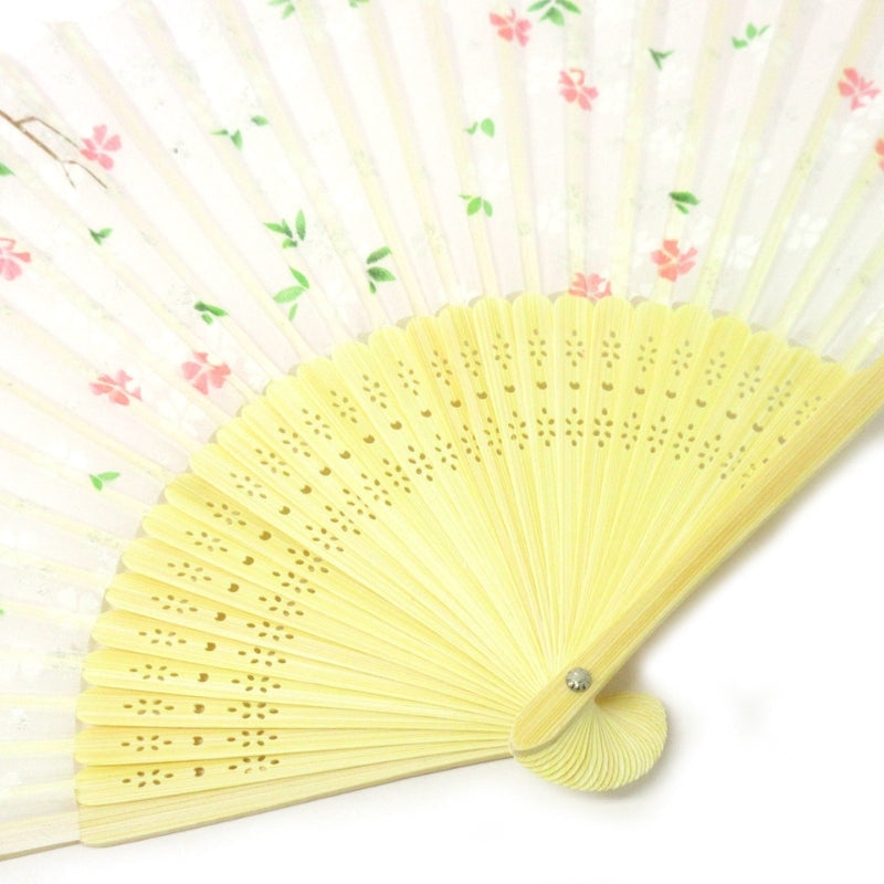 Japanse Waaier - Lente