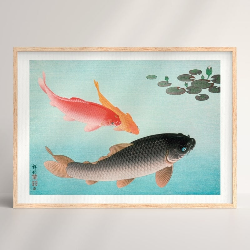 Koi Karper Prent A3