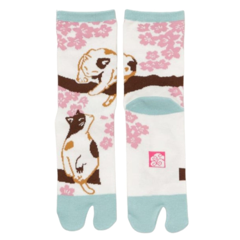 Tabi Sokken - Sakura & Katten