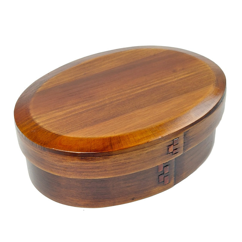 Traditionele Japanse Bento Van Hout
