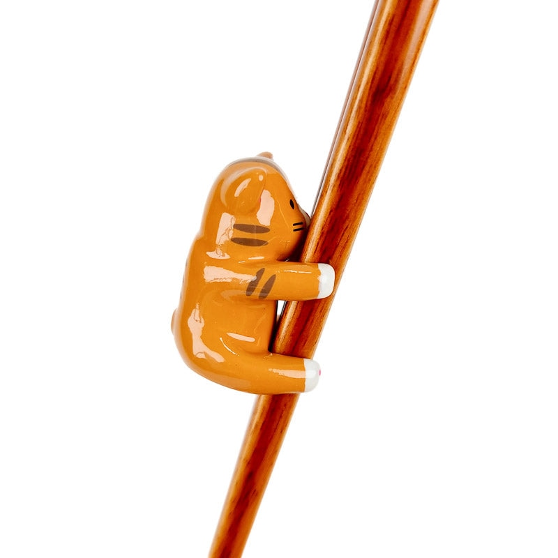 Japanse eetstokjes Kat