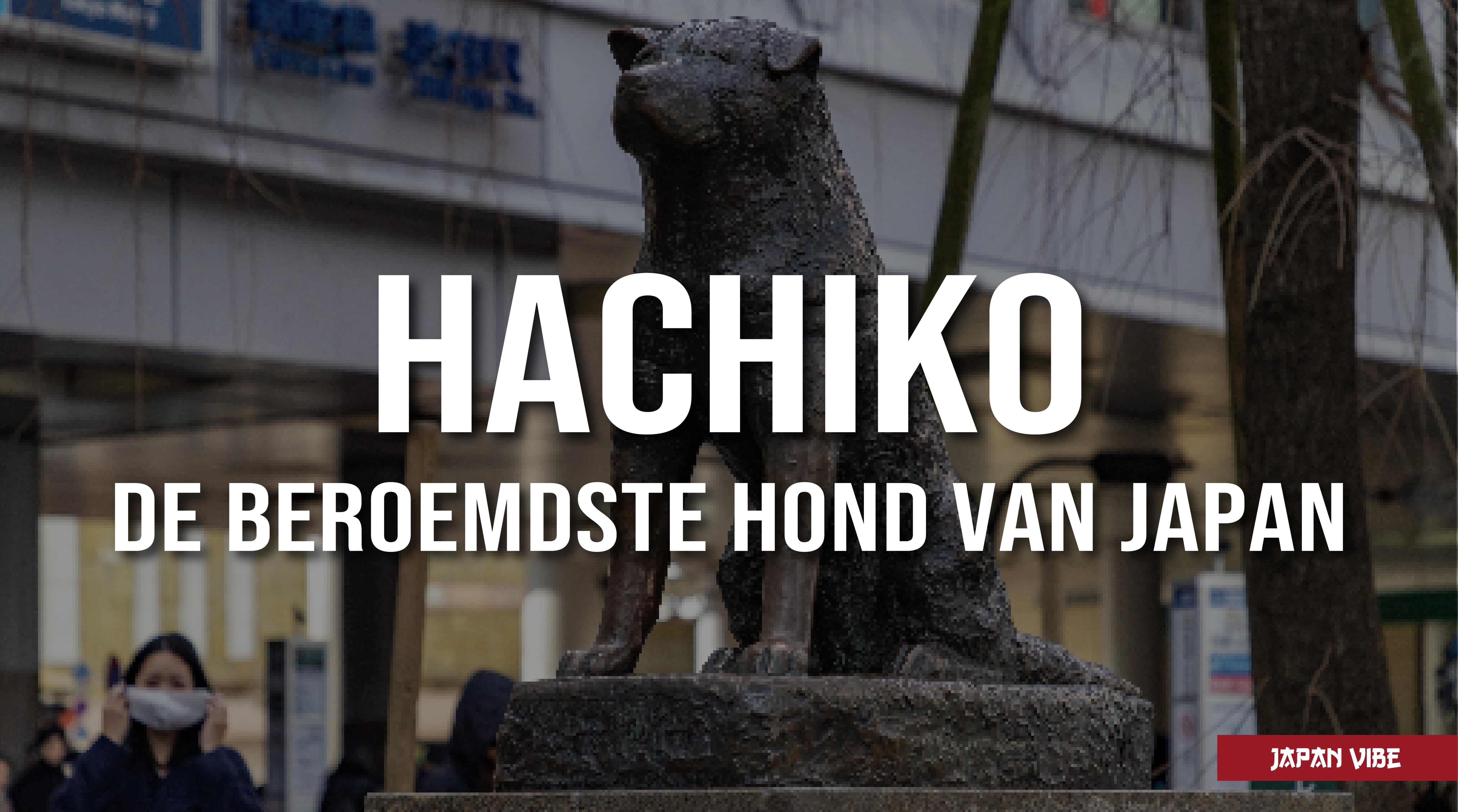 hachiko