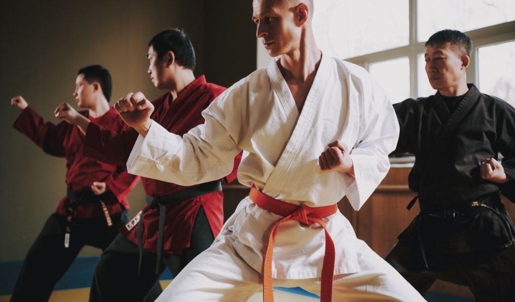 Japanse vechtkunst