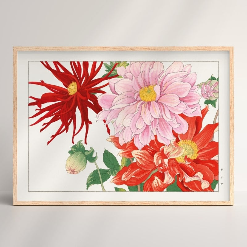 Japanse Dahlia Bloemen Print - A3