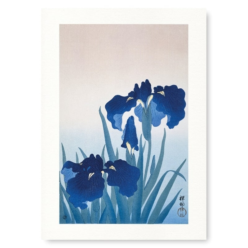 Blauwe Iris Japanse print - A3