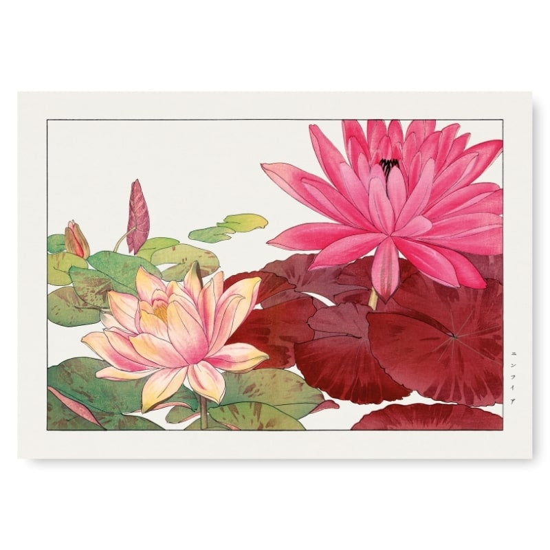 Japanse print Nymphaea Lotus - A3