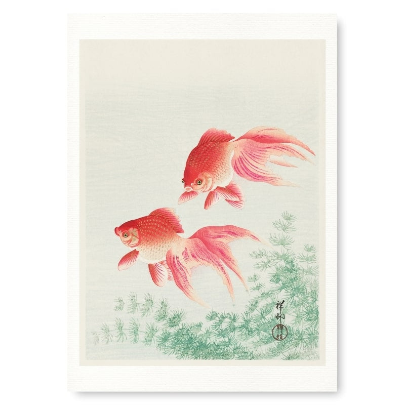 Japanse Goudvis Print - A3