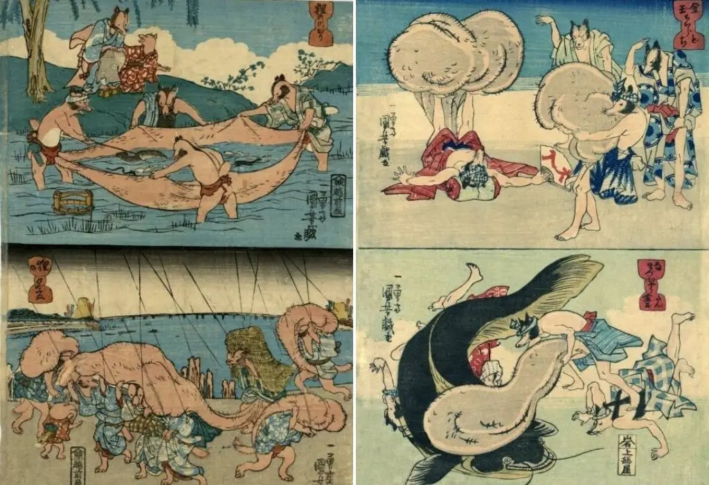 tanuki druk