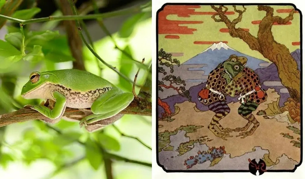 symbool kikker in japan