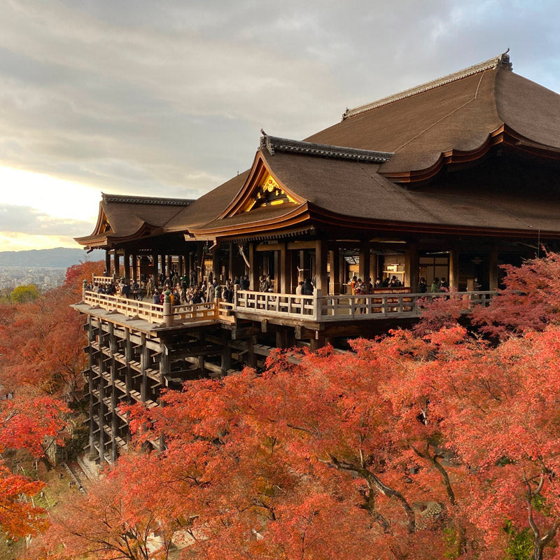Japans Kartonnen Miniatuurbouwpakket – Kiyomizu-dera Tempel