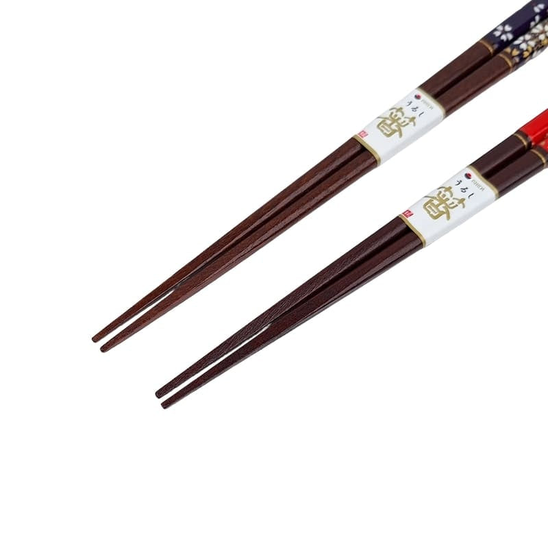 Japanse Eetstokjes Set – Rood & Blauw