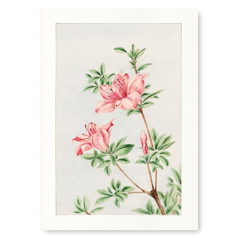 Japanse Prent - Azalea A3