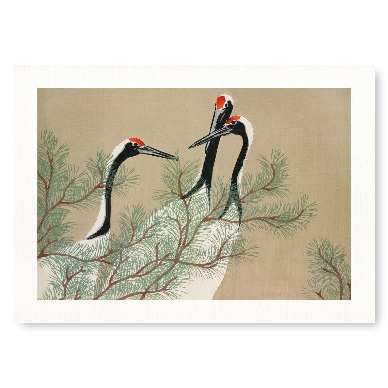 Japanse Prent - Kamisaka Kraanvogels A3