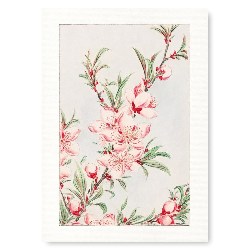 Japanse Prent - Peach Blossom A3