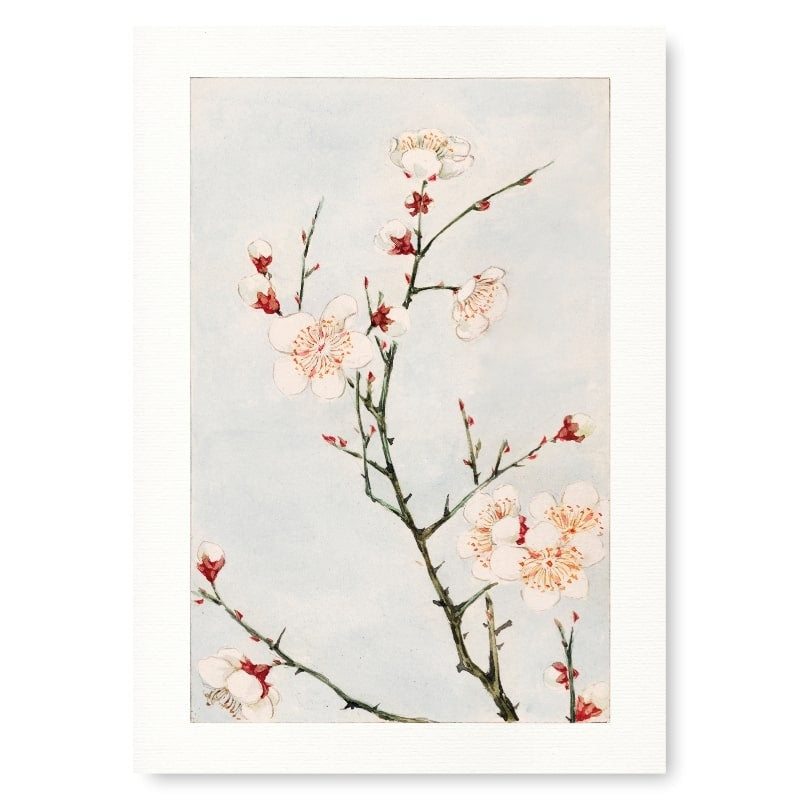 Japanse Prent - Plum Blossom A3