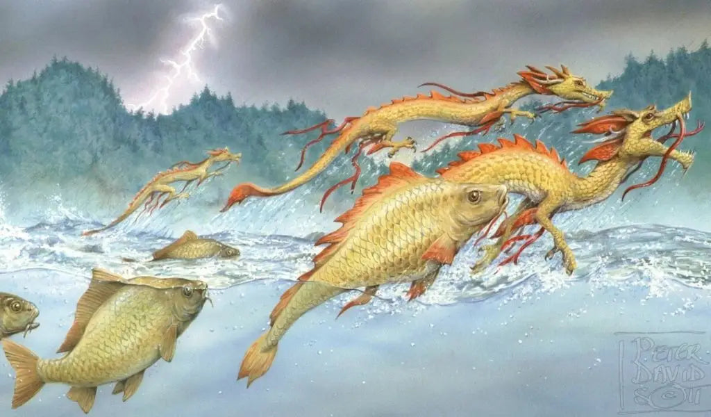 koi karper legende