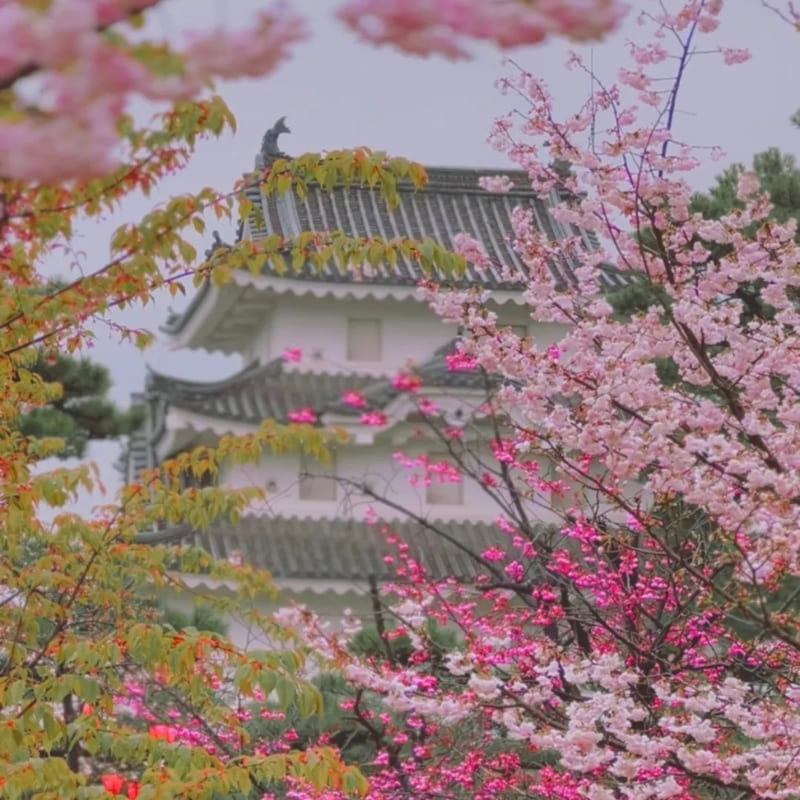 Japans miniatuurmodel - Kasteel Takamatsu