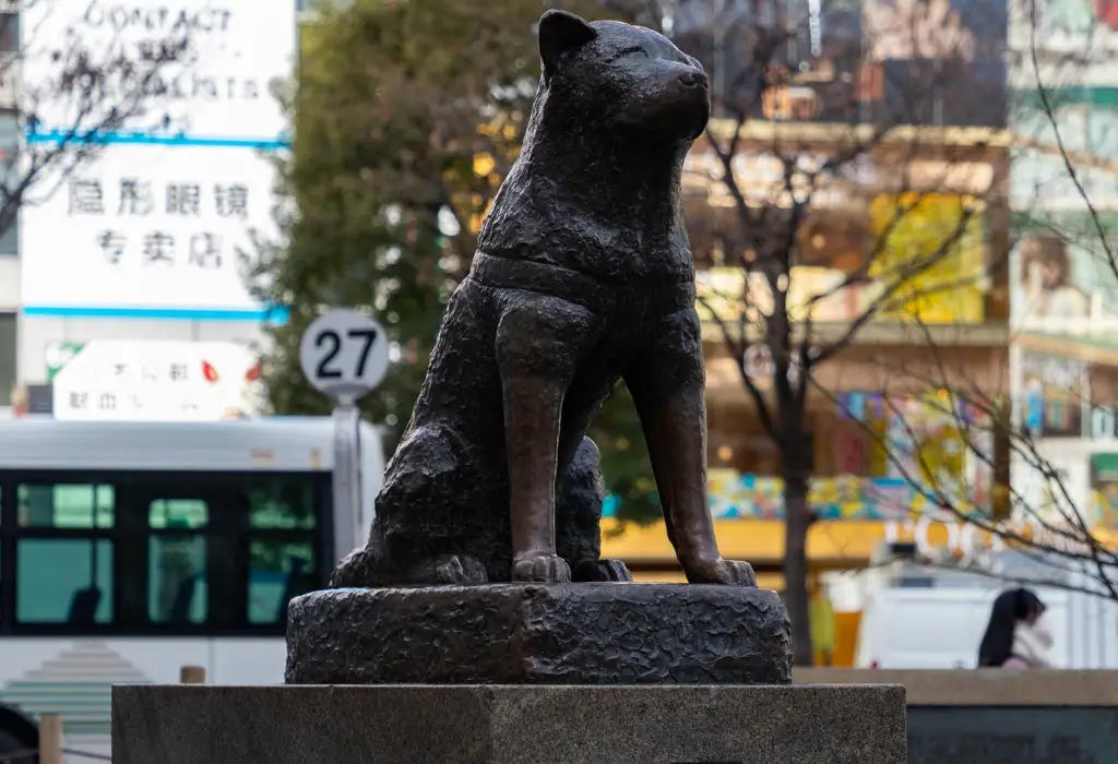standbeeld van Hachiko